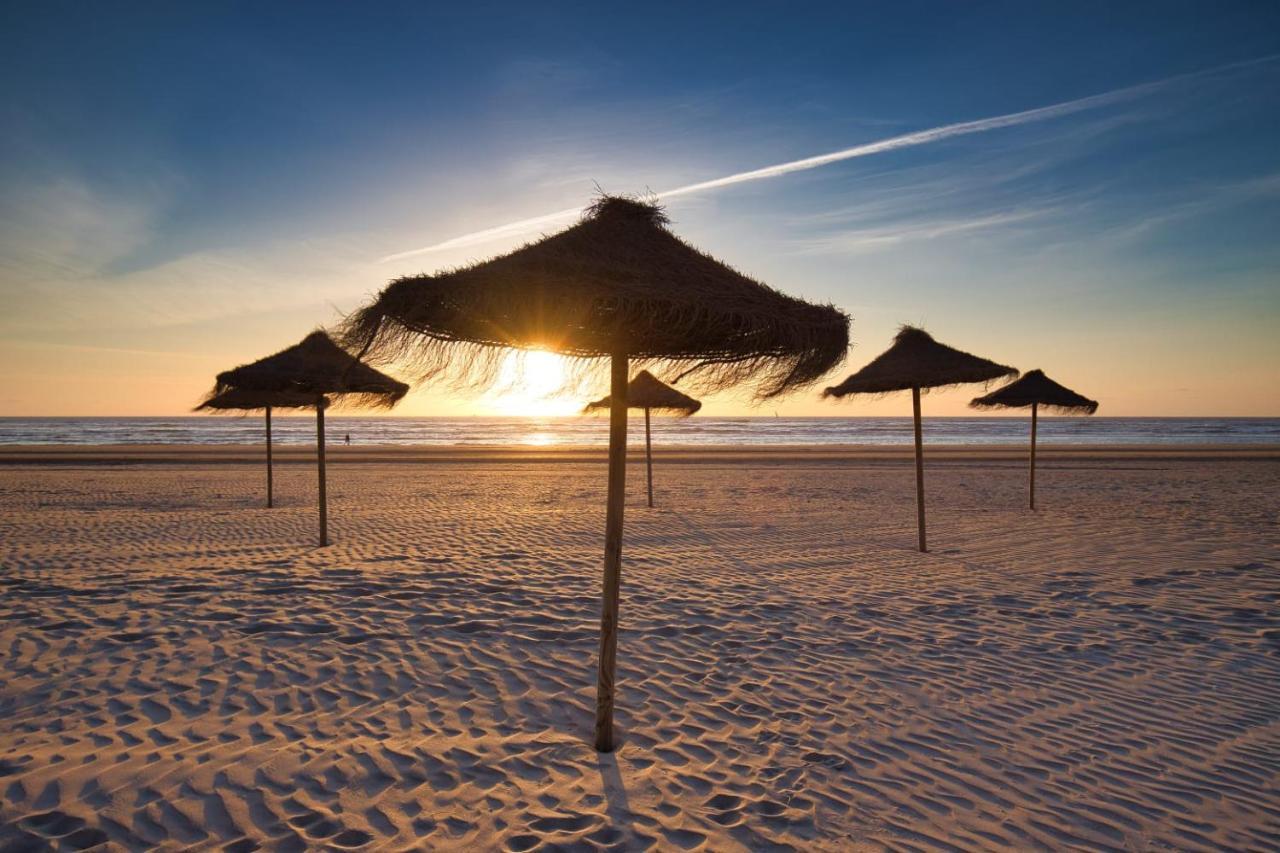 Huis Zeeduin Amsterdam Beach Zandvoort Extérieur photo